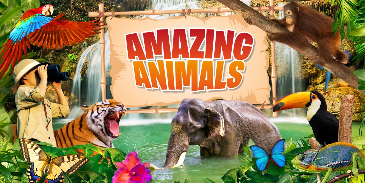 amazing-animals-slider1