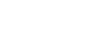 ahold delhaize