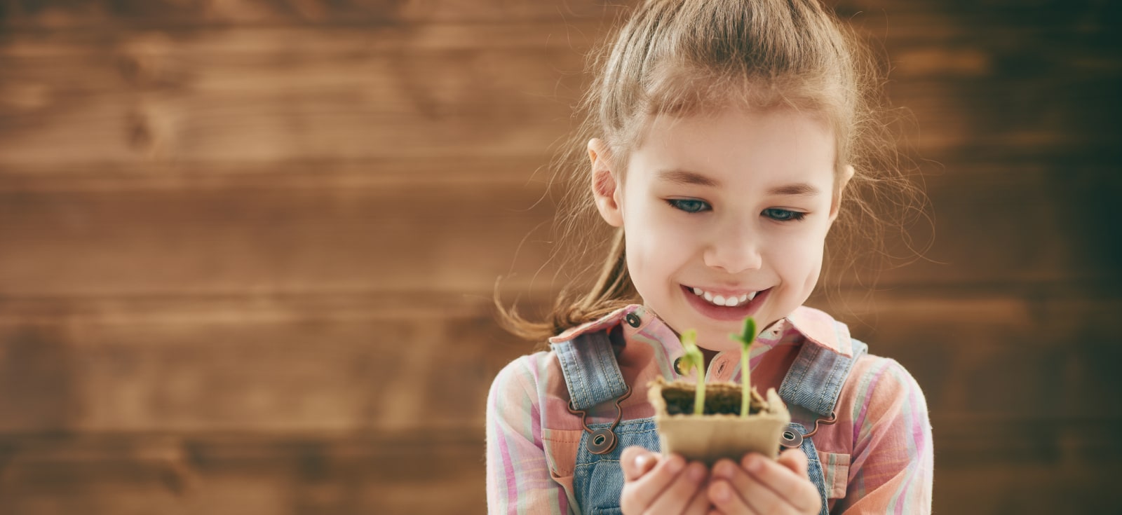 Little Garden M&S UK - News