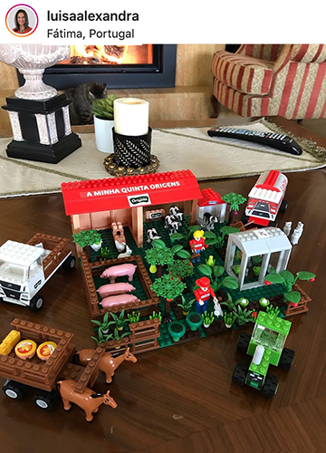 intermarche-bricks-farm-image2