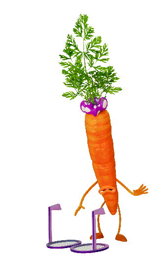carrot_SF_x2size
